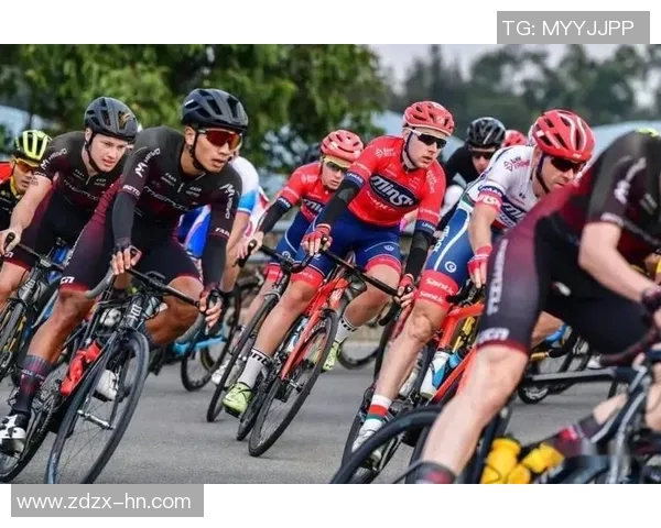 2024年巴黎奥运资格赛各项目形势分析与中国队备战策略探讨